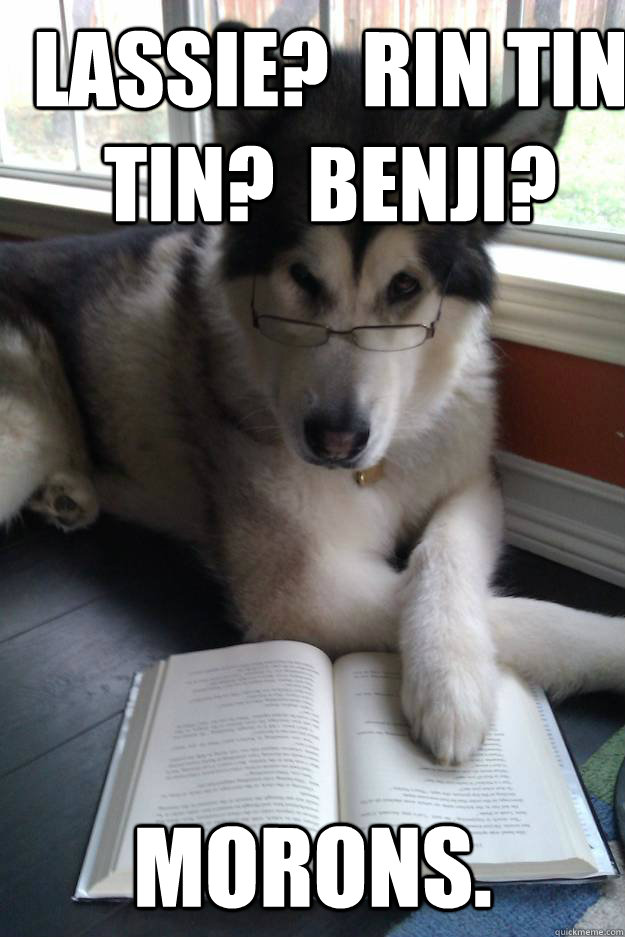Lassie?  Rin Tin Tin?  Benji? Morons.  Condescending Literary Pun Dog