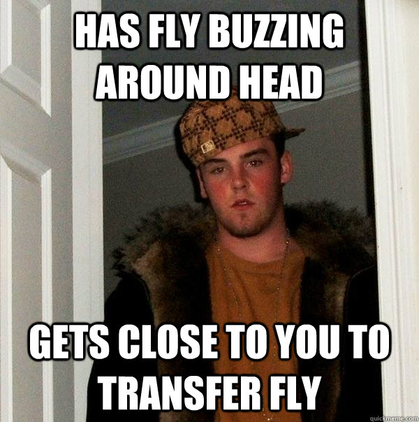 has fly buzzing around head gets close to you to transfer fly - has fly buzzing around head gets close to you to transfer fly  Scumbag Steve