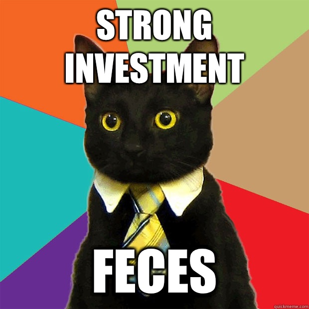 Strong investment Feces  Business Cat