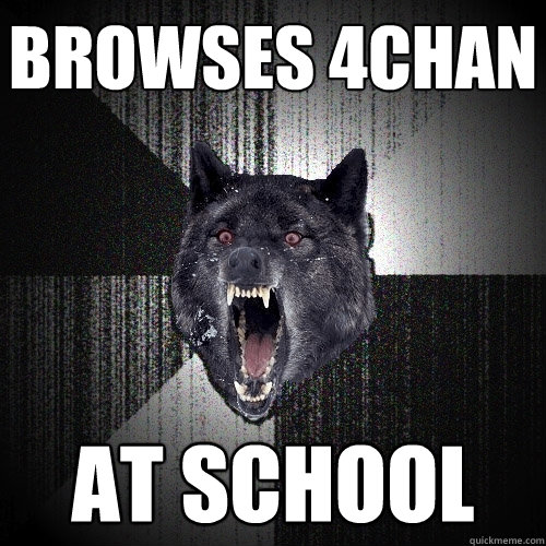 Browses 4chan at school  Insanity Wolf