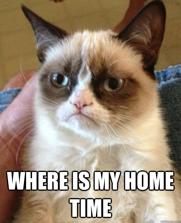  where is my home time  Grumpy Cat