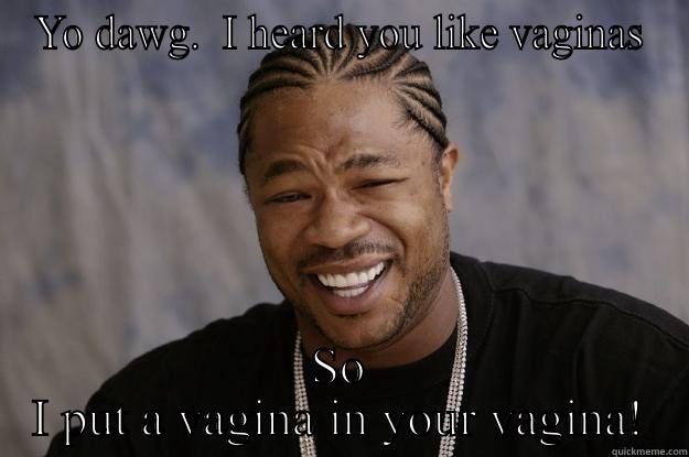 YO DAWG.  I HEARD YOU LIKE VAGINAS SO I PUT A VAGINA IN YOUR VAGINA! Xzibit meme