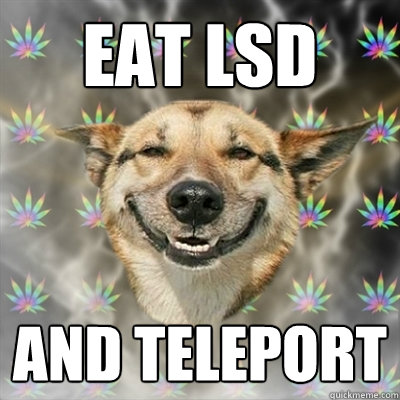 EAT LSD AND TELEPORT  Stoner Dog