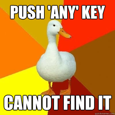 push 'any' key cannot find it  Tech Impaired Duck