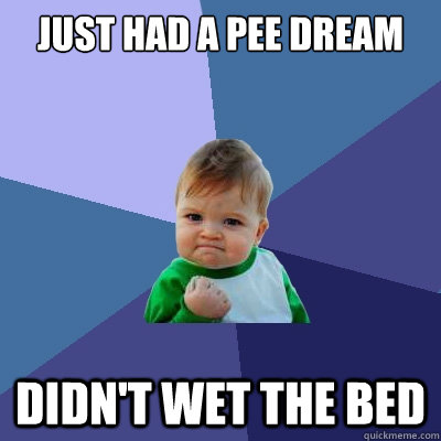 Just had a pee dream Didn't wet the bed  Success Kid