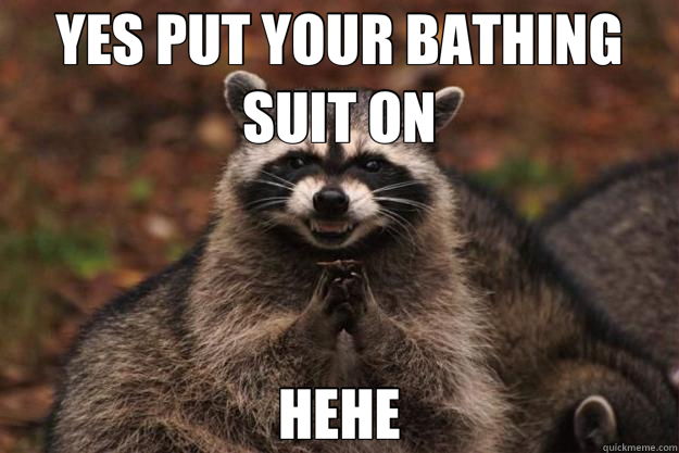 YES PUT YOUR BATHING SUIT ON HEHE  Evil Plotting Raccoon