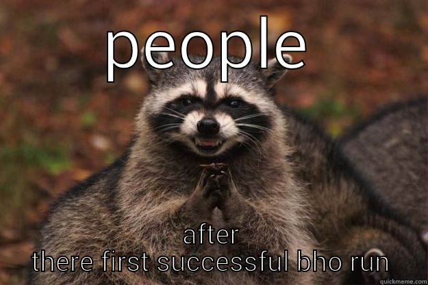 PEOPLE AFTER THERE FIRST SUCCESSFUL BHO RUN Evil Plotting Raccoon