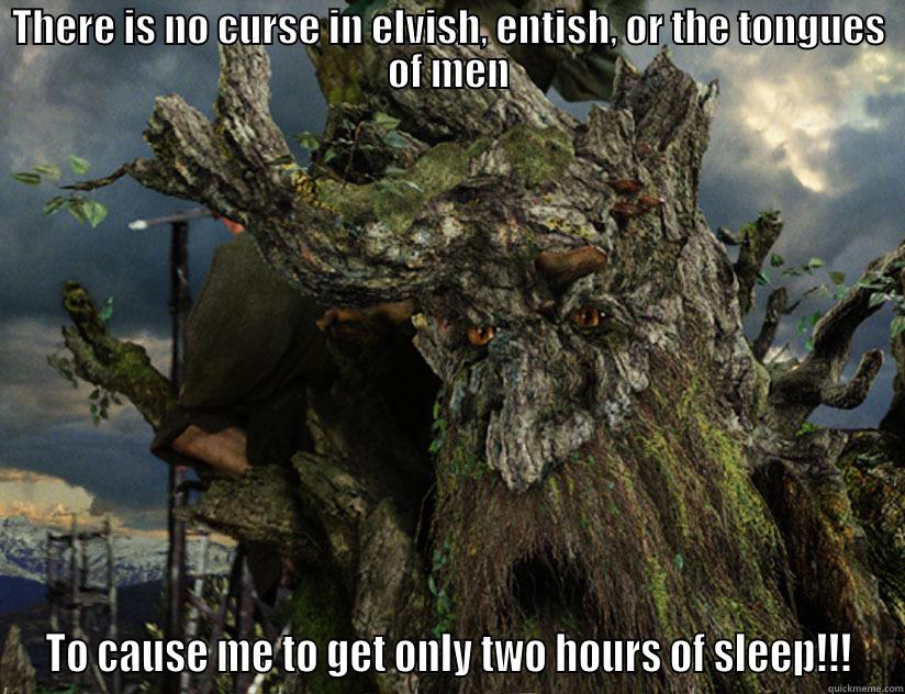 Sleep-Deprived Treebeard - THERE IS NO CURSE IN ELVISH, ENTISH, OR THE TONGUES OF MEN TO CAUSE ME TO GET ONLY TWO HOURS OF SLEEP!!! Misc