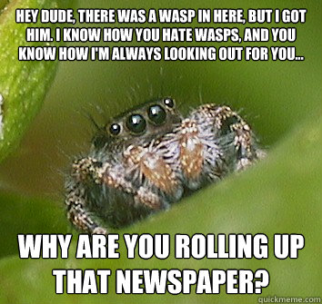 Hey dude, there was a wasp in here, but I got him. I know how you hate wasps, and you know how I'm always looking out for you... Why are you rolling up that newspaper?  - Hey dude, there was a wasp in here, but I got him. I know how you hate wasps, and you know how I'm always looking out for you... Why are you rolling up that newspaper?   Misunderstood Spider