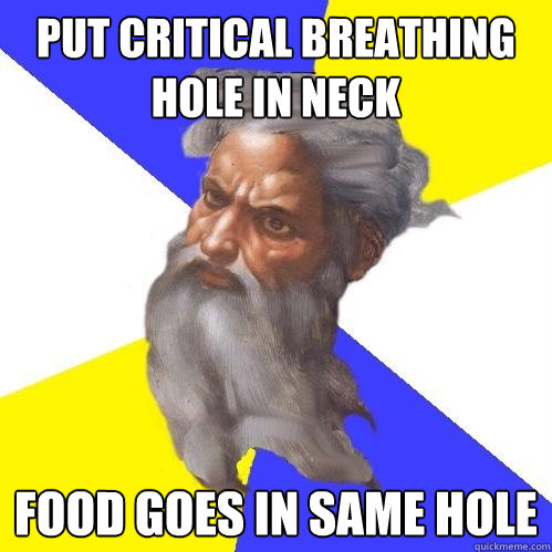 Put critical breathing hole in neck Food goes in same hole  Advice God