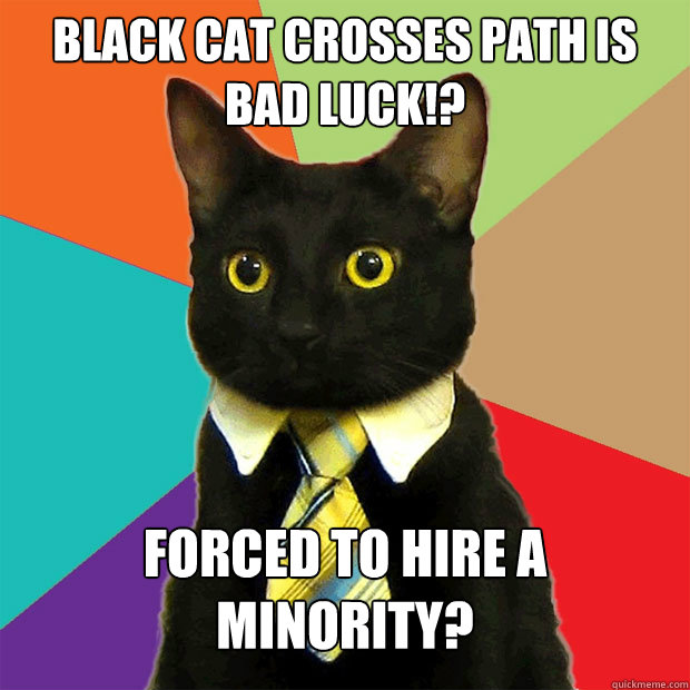 black cat crosses path is bad luck!? forced to hire a minority?  Business Cat