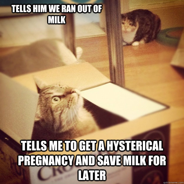 tells him we ran out of milk tells me to get a hysterical pregnancy and save milk for later  Cats wife