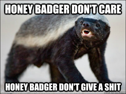 Honey badger don't care Honey badger don't give a shit  Honey Badger Dont Care