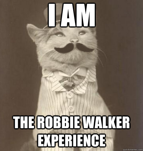 I AM THE ROBBIE WALKER EXPERIENCE  Original Business Cat