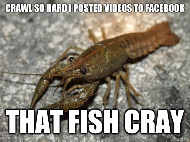 Crawl so hard I posted videos to Facebook
 that fish cray  that fish cray