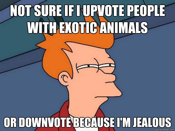 Not sure if I upvote people with exotic animals Or downvote because I'm jealous  Futurama Fry