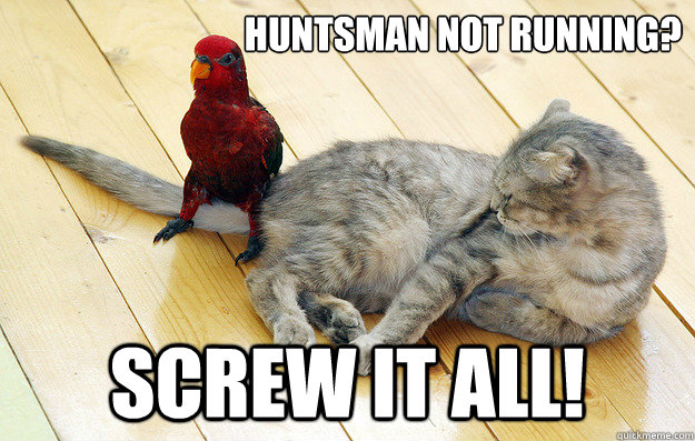 Huntsman Not Running? Screw it all!  Despondent Bird