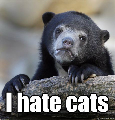  I hate cats -  I hate cats  Confession Bear