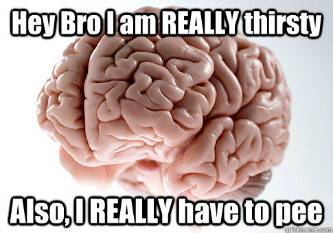 Hey Bro I am REALLY thirsty Also, I REALLY have to pee   - Hey Bro I am REALLY thirsty Also, I REALLY have to pee    Scumbag Brain