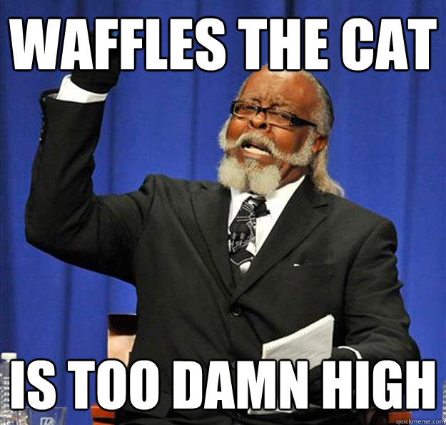 Waffles the cat Is too damn high - Waffles the cat Is too damn high  Jimmy McMillan