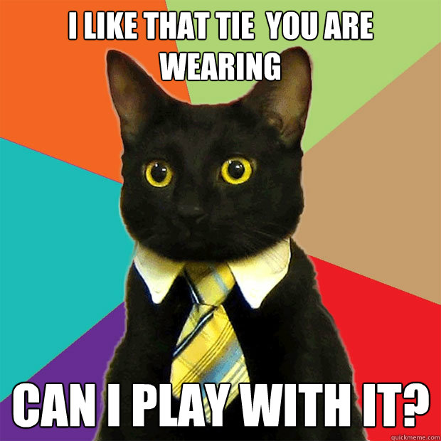 I like that tie  you are wearing can i play with it? - I like that tie  you are wearing can i play with it?  Business Cat