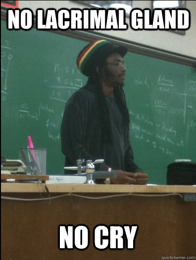 no lacrimal gland no cry  Rasta Science Teacher