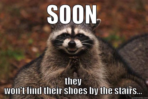 soon they will have no shoes - SOON THEY WON'T FIND THEIR SHOES BY THE STAIRS... Evil Plotting Raccoon