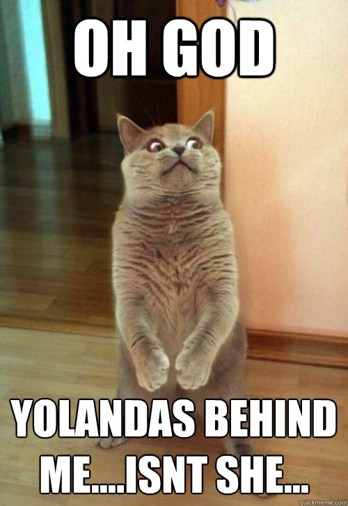 Oh God Yolandas behind me....isnt she...  Horrorcat