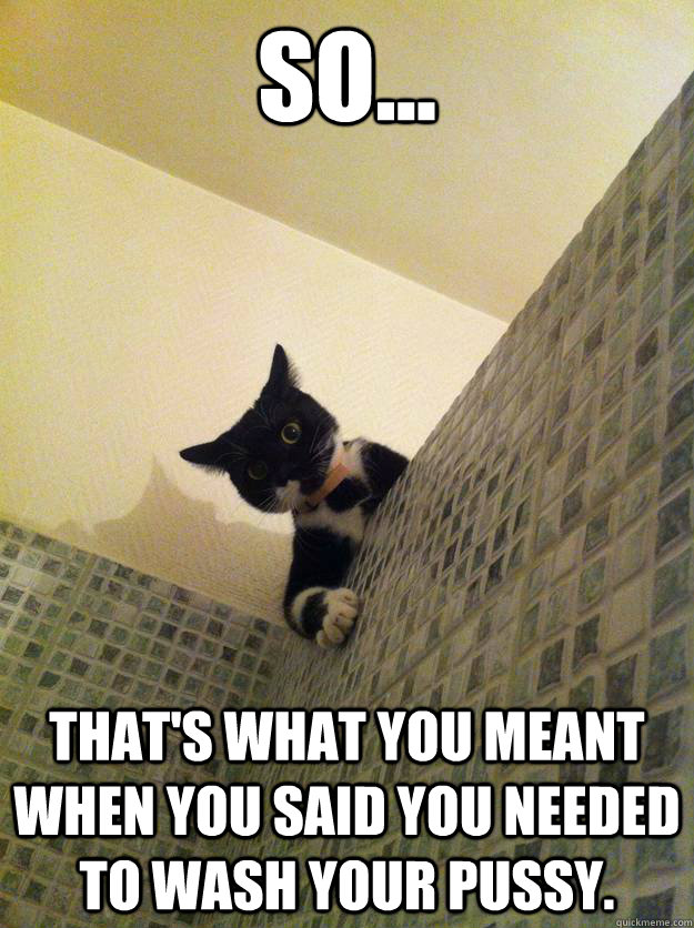 So... that's what you meant when you said you needed to wash your pussy.  Incredulous Cat