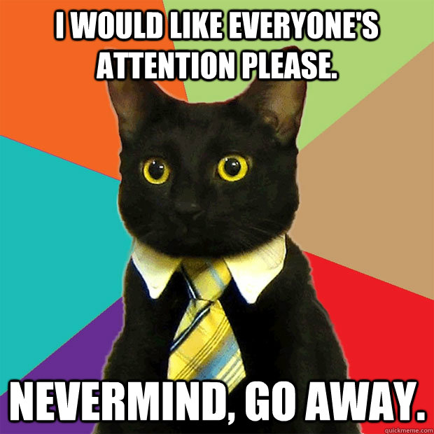 I would like everyone's attention please. nevermind, go away.  Business Cat