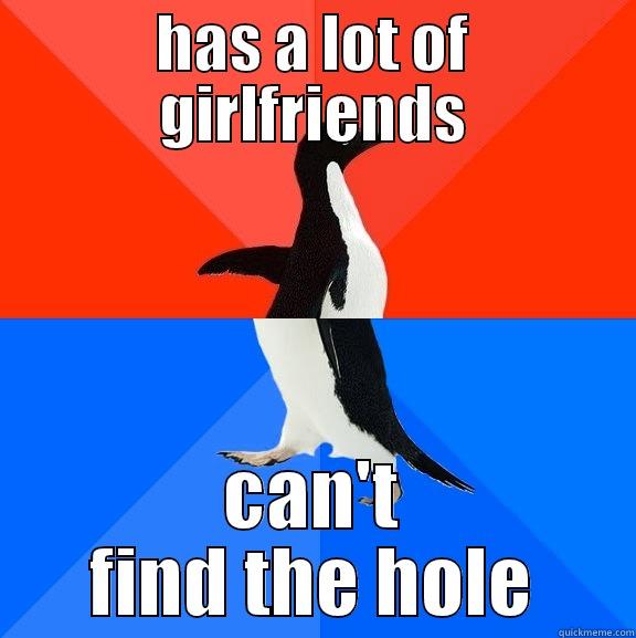HAS A LOT OF GIRLFRIENDS CAN'T FIND THE HOLE Socially Awesome Awkward Penguin