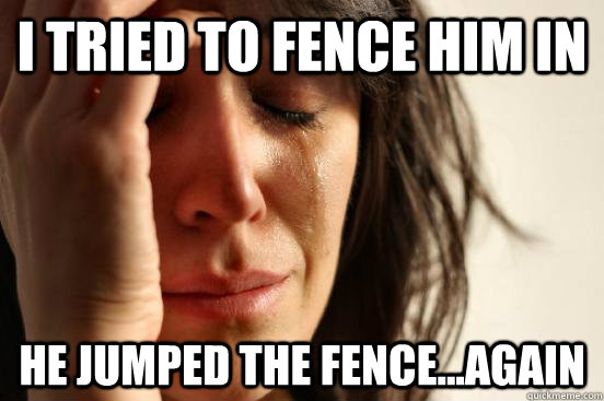 i tried to fence him in he jumped the fence...again - i tried to fence him in he jumped the fence...again  First World Problems