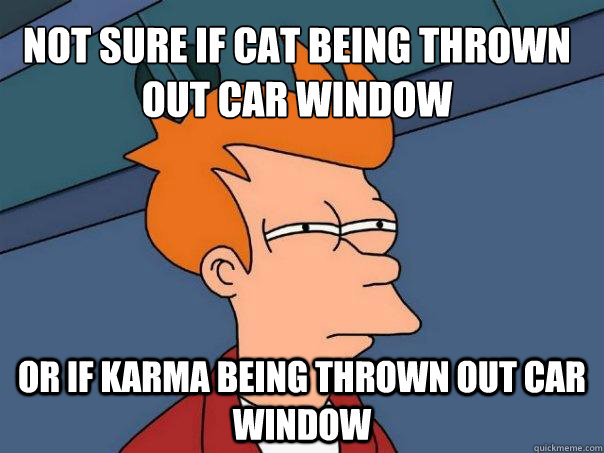 Not Sure if cat being thrown out car window Or if karma being thrown out car window - Not Sure if cat being thrown out car window Or if karma being thrown out car window  Misc