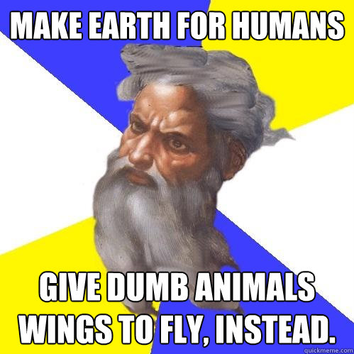 Make earth for humans Give dumb animals wings to fly, instead.  Advice God