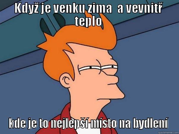 KDYŽ JE VENKU ZIMA  A VEVNITŘ TEPLO KDE JE TO NEJLEPŠÍ MÍSTO NA BYDLENÍ Futurama Fry