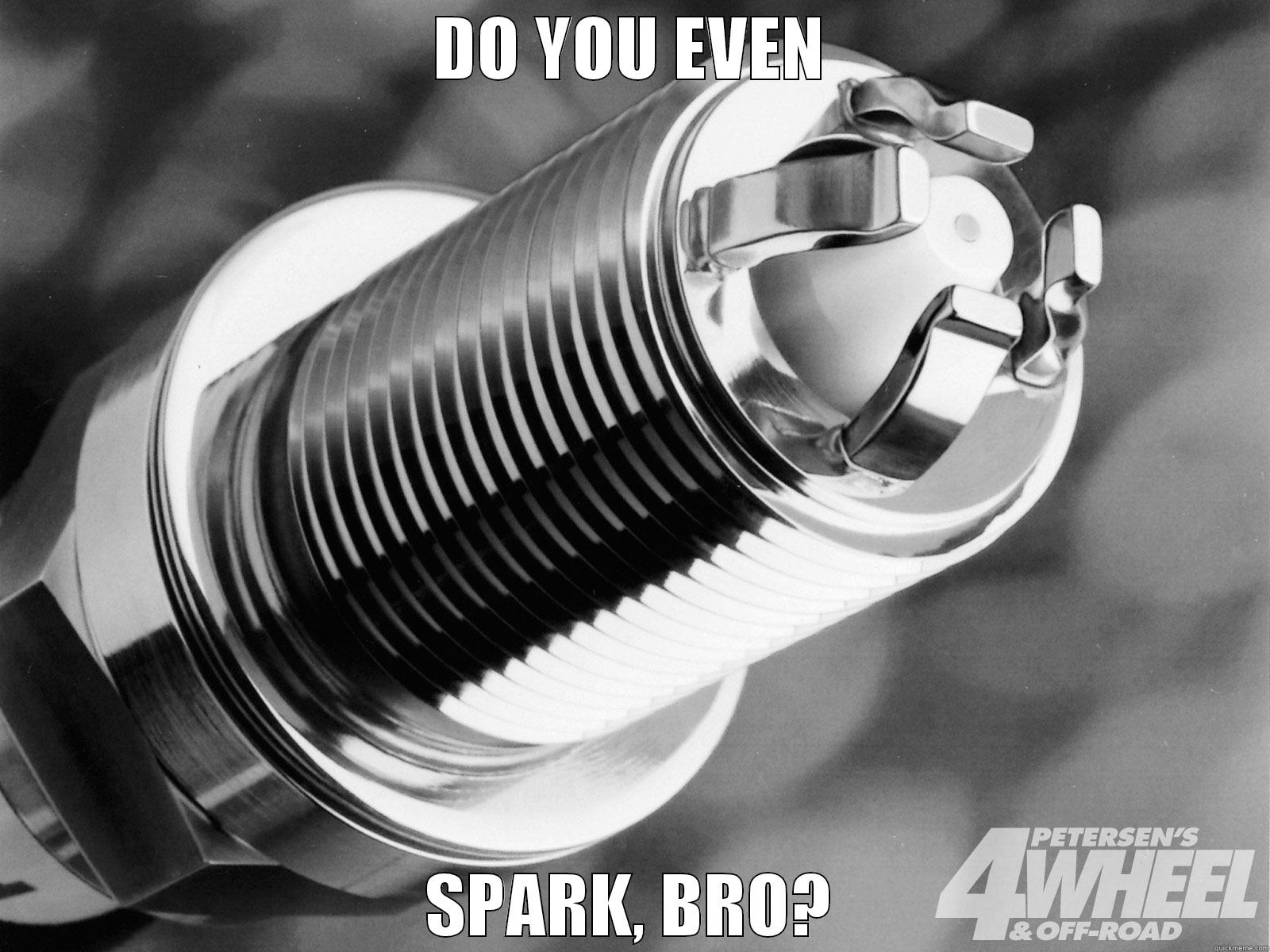 DO YOU EVEN SPARK, BRO? Misc