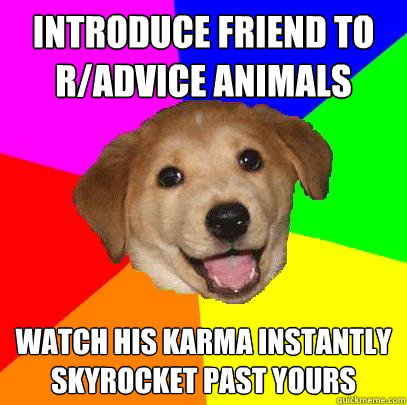 Introduce friend to r/advice animals Watch his karma instantly skyrocket past yours  Advice Dog