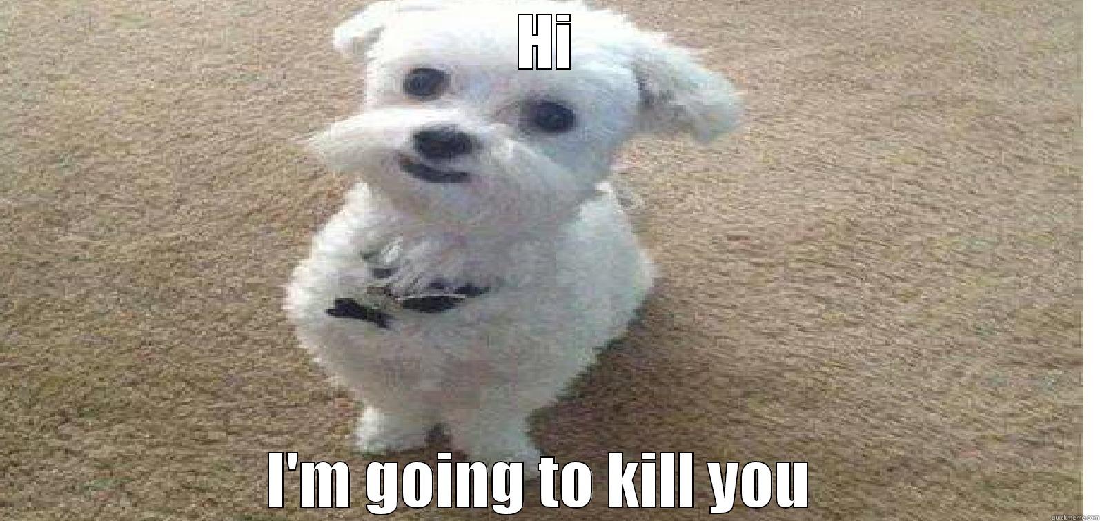 Smiley dog - HI I'M GOING TO KILL YOU  Misc