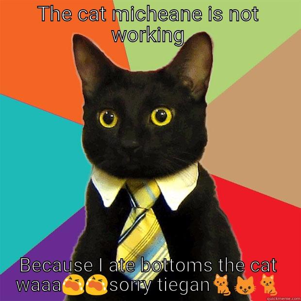 THE CAT MICHEANE IS NOT WORKING BECAUSE I ATE BOTTOMS THE CAT WAAA Business Cat