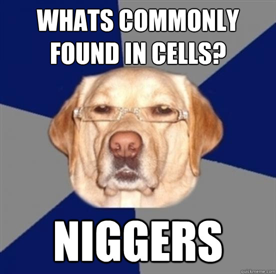 whats commonly found in cells? niggers  Racist Dog