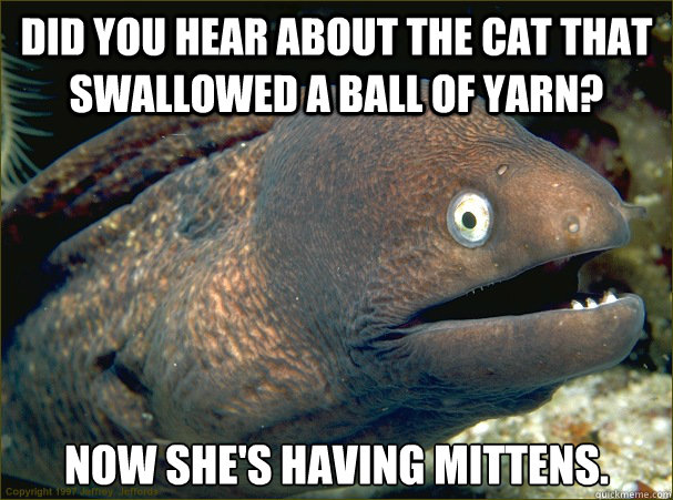 Did you hear about the cat that swallowed a ball of yarn? Now she's having Mittens. - Did you hear about the cat that swallowed a ball of yarn? Now she's having Mittens.  Bad Joke Eel