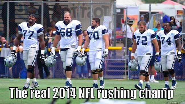  THE REAL 2014 NFL RUSHING CHAMP Misc