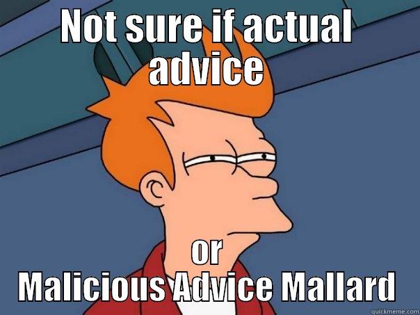 NOT SURE IF ACTUAL ADVICE OR MALICIOUS ADVICE MALLARD Futurama Fry