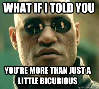 what if i told you you're more than just a little bicurious  Matrix Morpheus