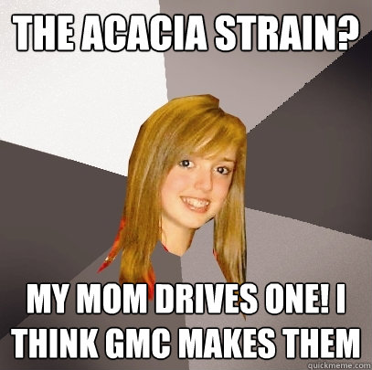 the acacia strain? my mom drives one! i think gmc makes them  Musically Oblivious 8th Grader