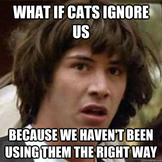 What if cats ignore us because we haven't been using them the right way  conspiracy keanu