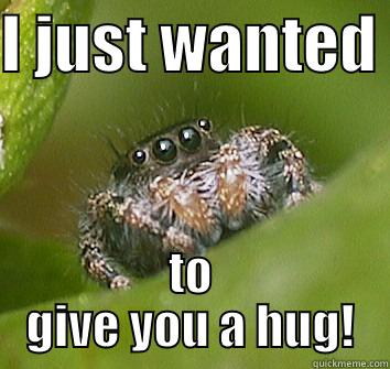 Misunderstood spider - I JUST WANTED  TO GIVE YOU A HUG! Misunderstood Spider