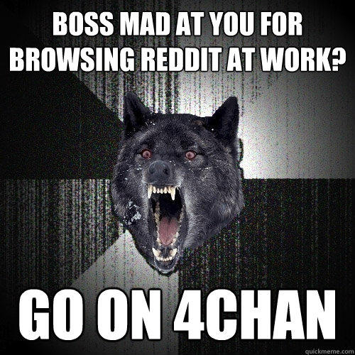 BOSS MAD AT YOU FOR BROWSING REDDIT AT WORK? GO ON 4CHAN - BOSS MAD AT YOU FOR BROWSING REDDIT AT WORK? GO ON 4CHAN  Insanity Wolf