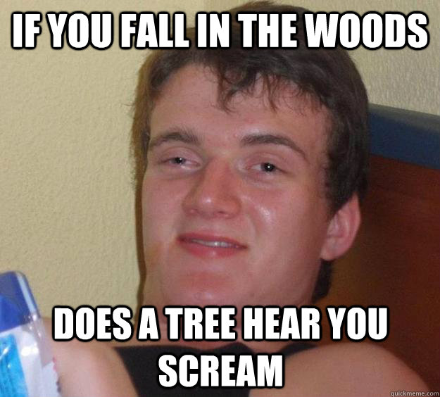 if you fall in the woods does a tree hear you scream  10 Guy