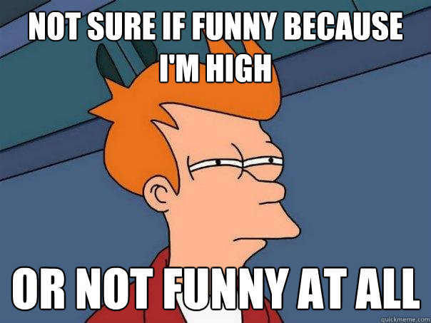 Not sure if funny because i'm high Or not funny at all  Futurama Fry